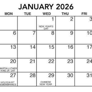 Large Print Wall Calendar 2026 - PRE ORDER
