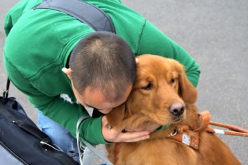 A visually impaired man in a green sweatshirt hugs a golden retriever guide dog wearing a harness.