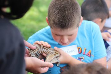 A young male CarrollKids student holds a lizard in his hands at the carroll center.