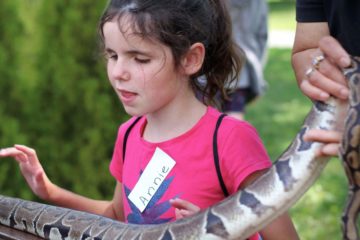 A young girl enrolled in the carroll center summer program feels the body of a live snake.
