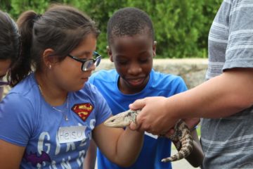 Two young students in the carroll center summer program laugh while petting the head of a lizard.