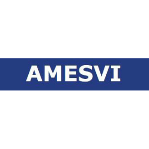 AMESVI Logo.