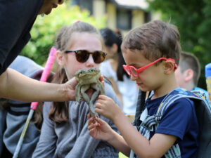 Carroll Center summer program students touching a frog during a field trip