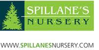 Spillane's Nursery Logo