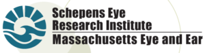 Schepens Eye Research Institute Logo